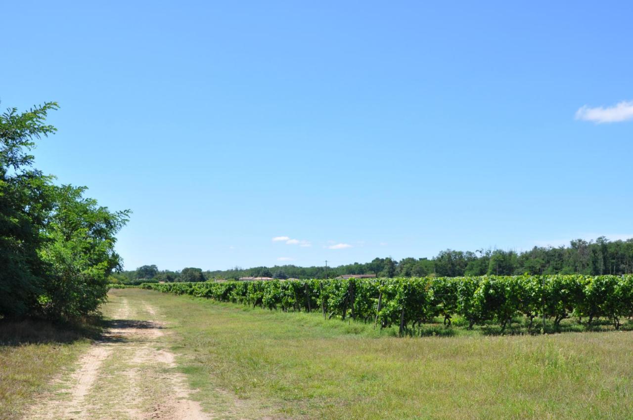 Clos San Gianni Pujols-sur-Ciron Zewnętrze zdjęcie
